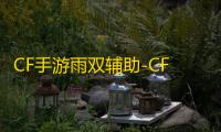 CF手游雨双辅助-CFM稳定全防范围瞄准多功能插件